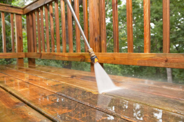 Best Gutter Cleaning  in Manistee, MI